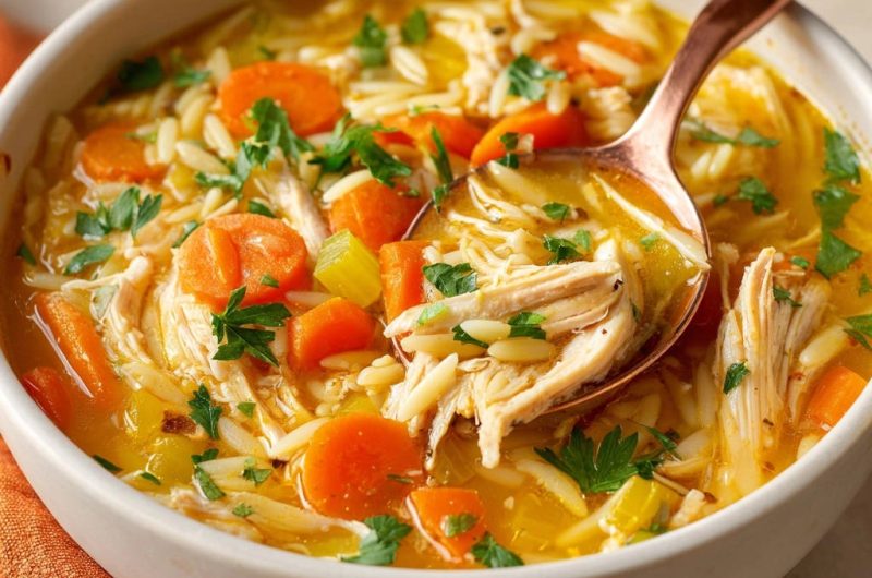 Homestyle Chicken Orzo Soup